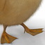 3d duckling 2 rigged model