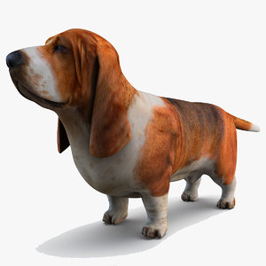 basset hound dog 3d max