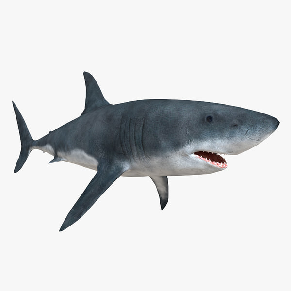 3ds max shark