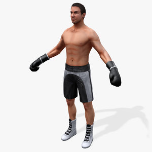 3d boxer real-time