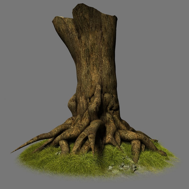  tree  root  trunk 3d  model 