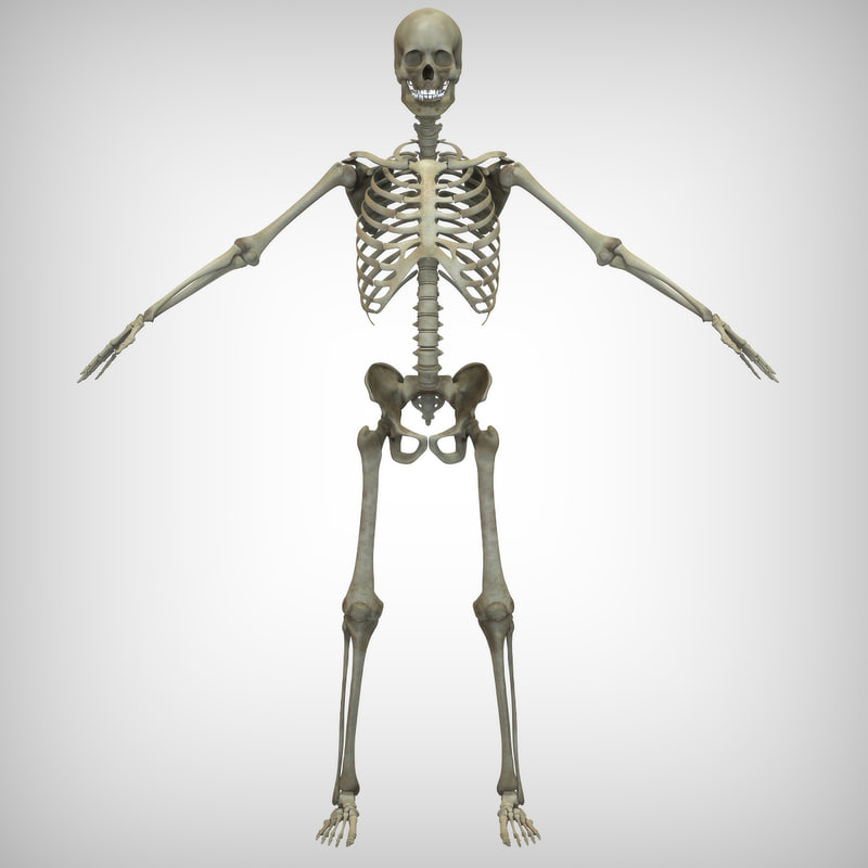 skeletal 3d 3ds