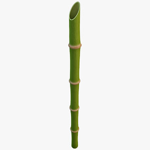 bamboo stem 2 3d model