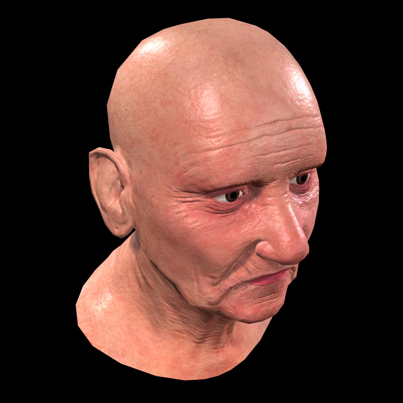 3d old woman head model