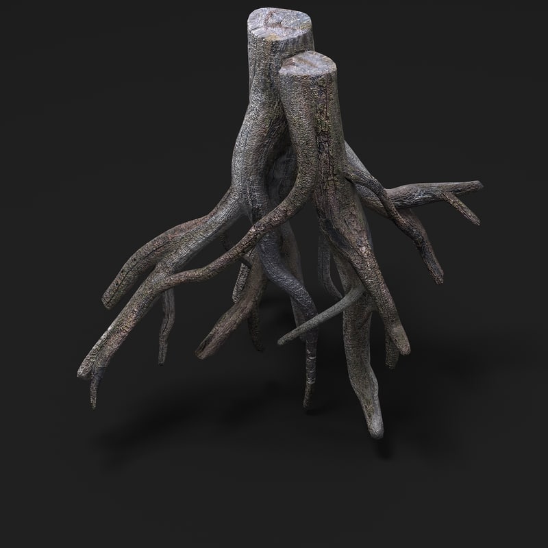  tree  roots  3d  model 