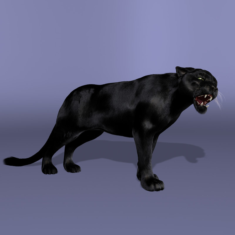  3d  obj black  panther  fur