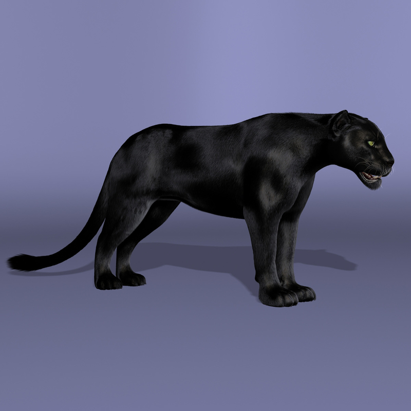 3d obj black panther fur