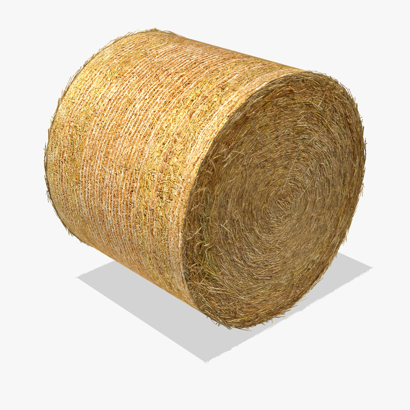 3d hay bale