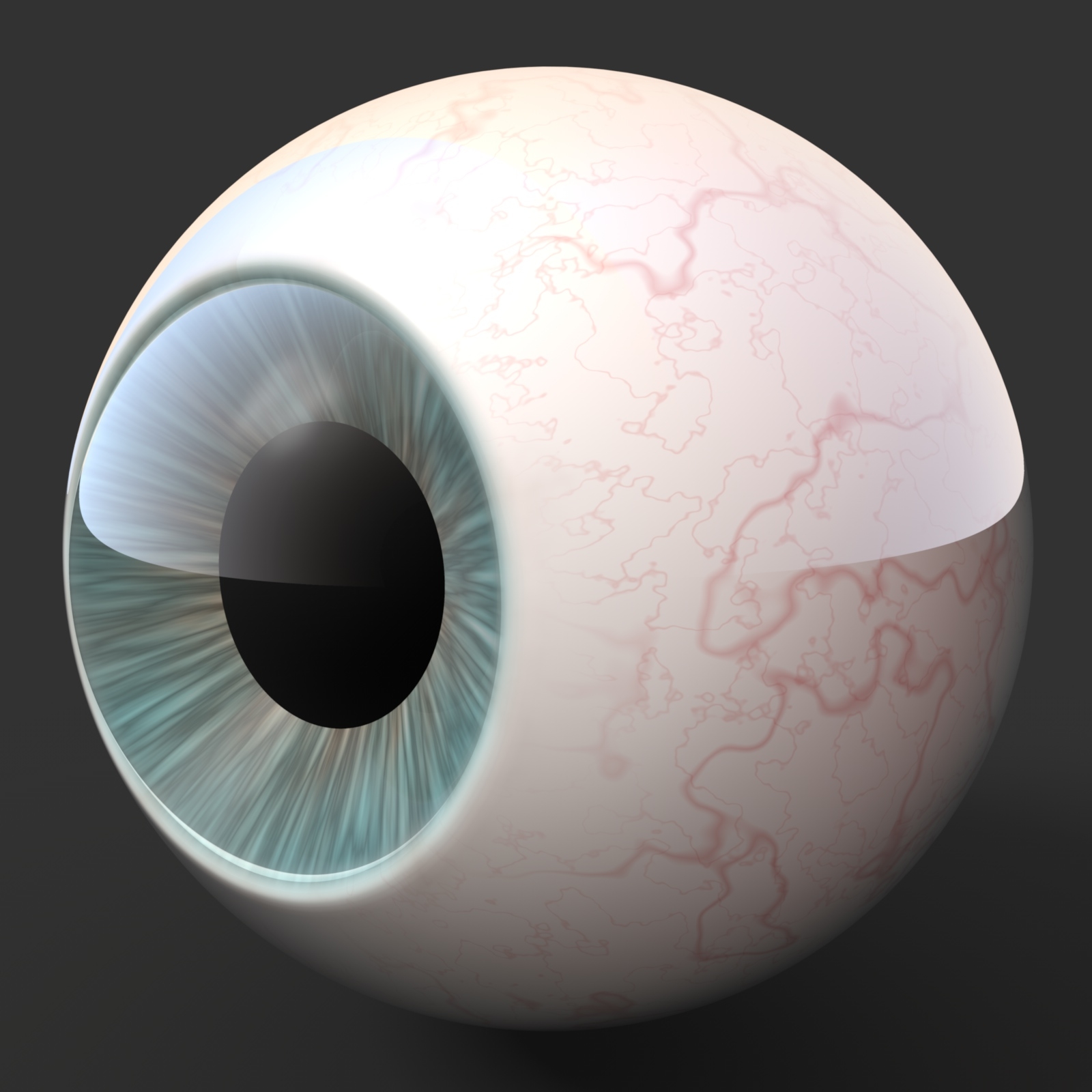 3d model realistic human eye