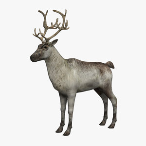 reindeer 3d 3ds
