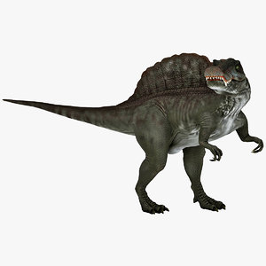 3d spinosaurus prehistoric modelled model