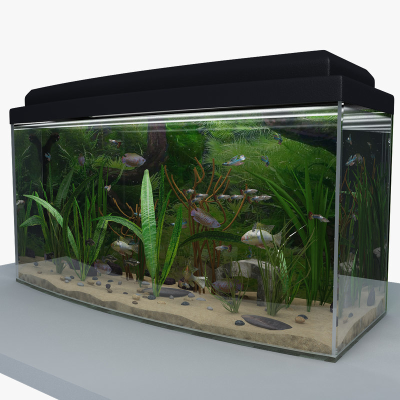 3d aquarium 2