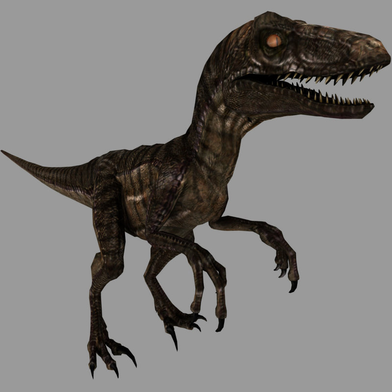 3d velociraptor