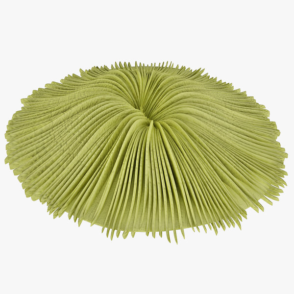 mushroom coral 3d max