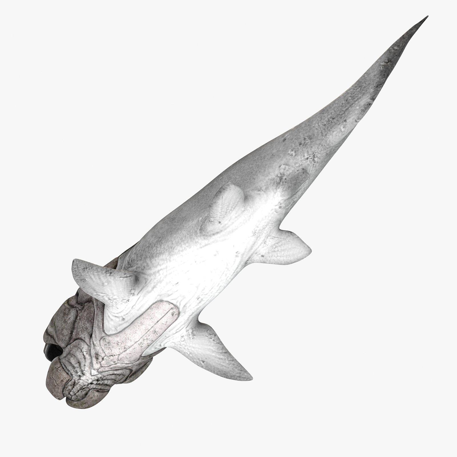 max dunkleosteus fishes devonian