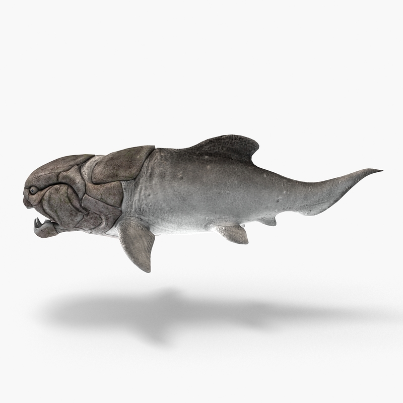 max dunkleosteus fishes devonian