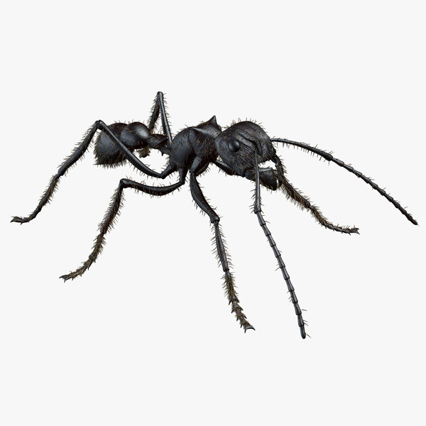 realistic bullet ant