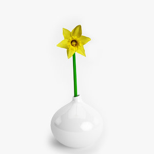 3d model daffodil