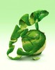 member avatar