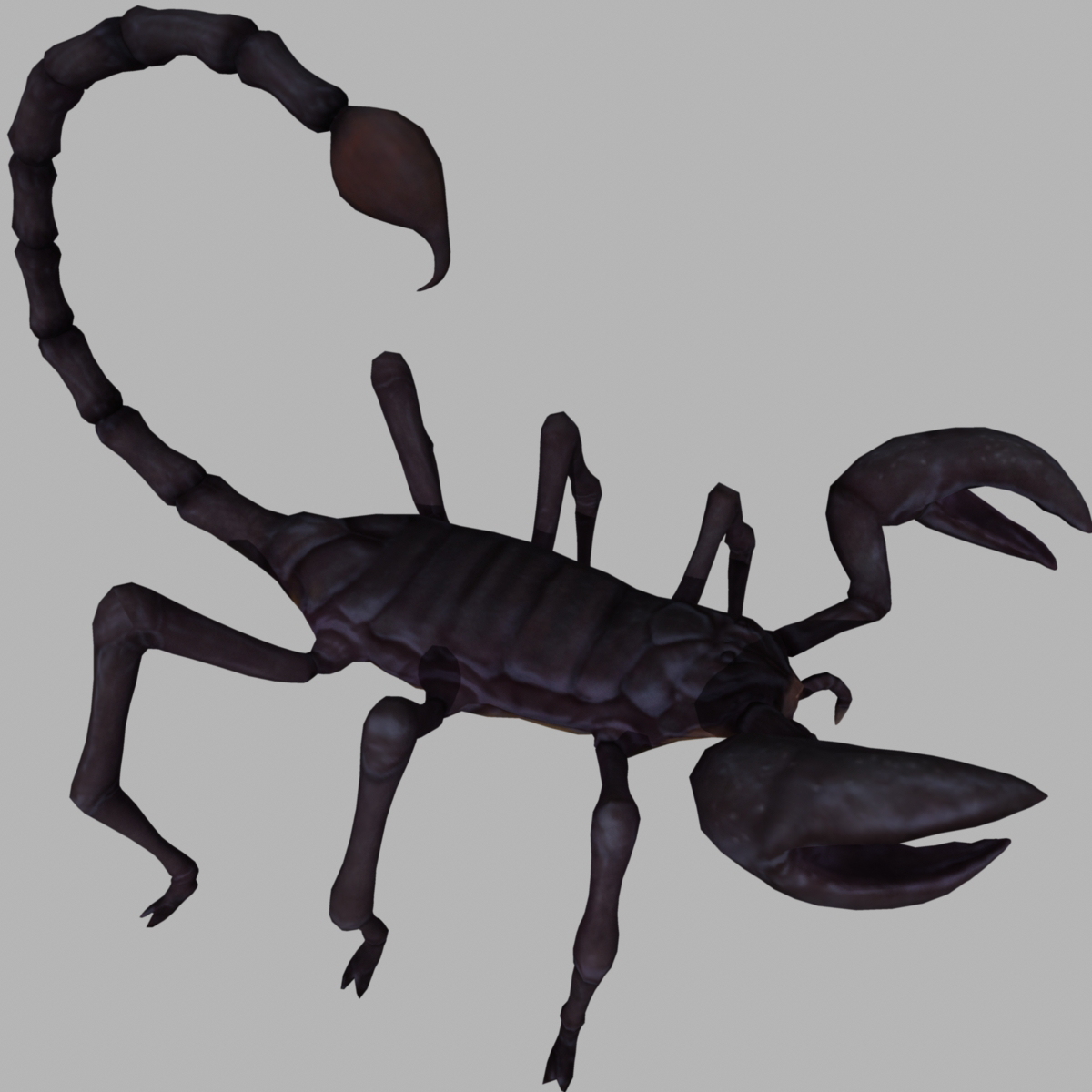 Black Scorpion Rigged 3d Obj 4869