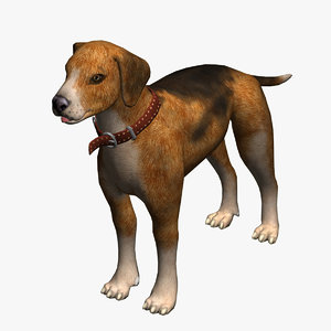 max dog beagle