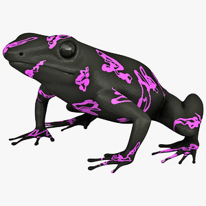 atelopus frog 3ds
