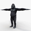gorilla silverback primate 3d 3ds