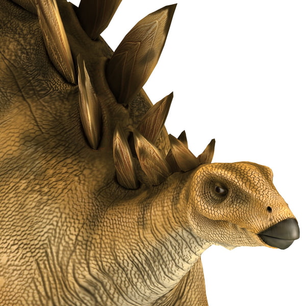 stegosaurus 3d google