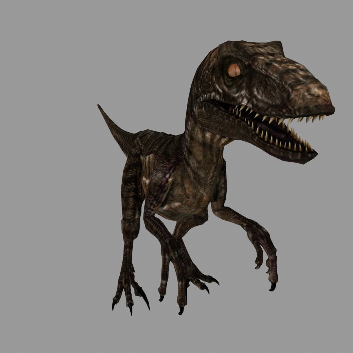 迅猛龙(动画)3d模型