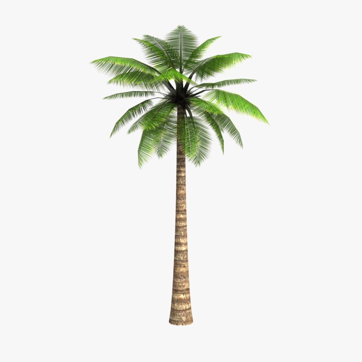 3d model of lowpoly palm tree