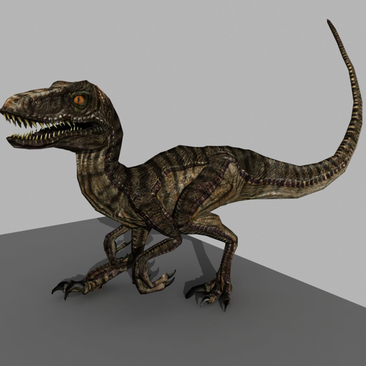 3d rigged velociraptor animation