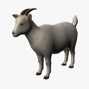 goat edge loop 3d model