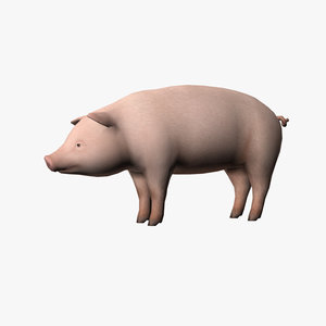 pig edge loop 3d model