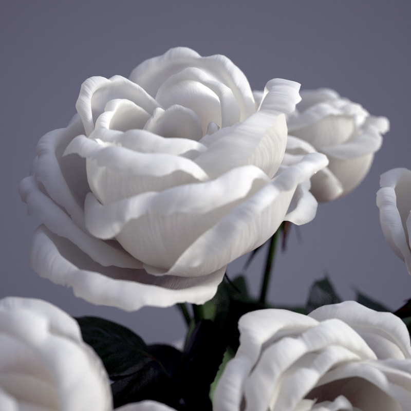 bouquet roses 3d max