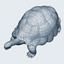 tortoise 3d model