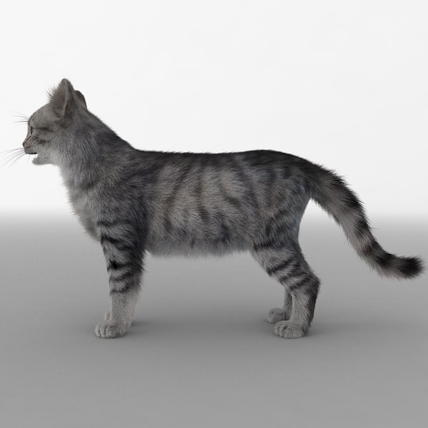 3d model cat 3 fur