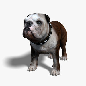 bulldog animal collar 3d model