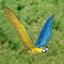 parrot rigged 3d ma