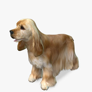 model s dog cocker spaniel