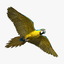 parrot rigged 3d ma