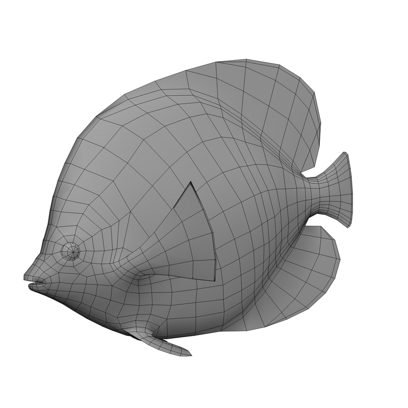 3dsmax bluecheek butterfly fish