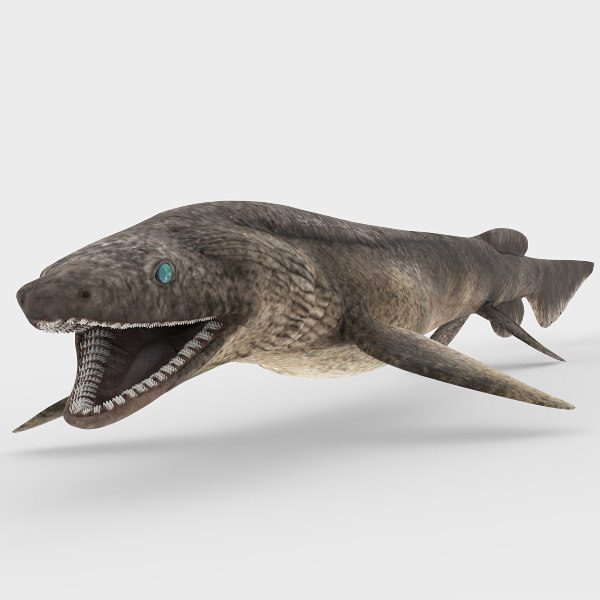 frilled shark toy