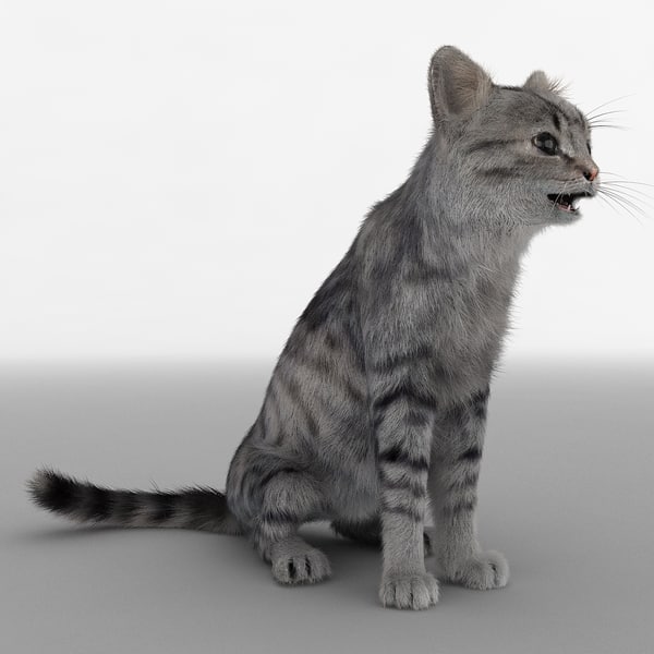 Anthro Cat 3d Model