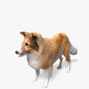 games dog sheltie real-time max