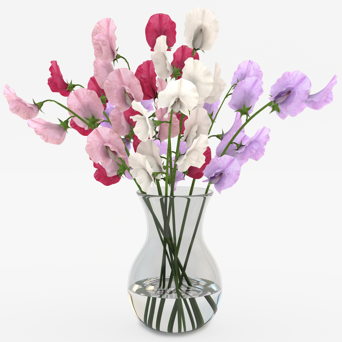 Sweet Peas Vase 3d Obj