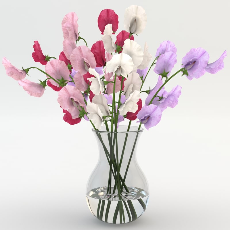 sweet peas vase 3d obj