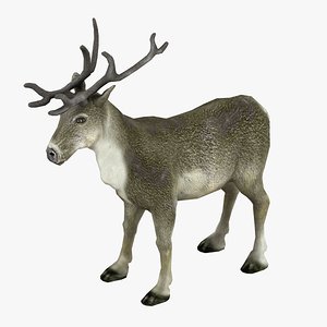 3d max reindeer animation