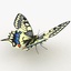 3d butterfly papilio machaon