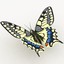 3d butterfly papilio machaon