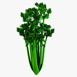 lightwave celery